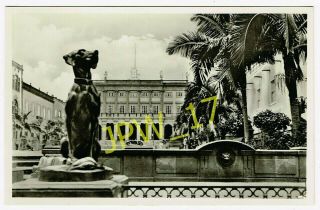 Vintage Rppc Las Palmas,  Plaza De La Republica,  Spain (rp) Dog Statue