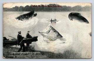 Vintage Postcard Fishing Exaggeration " We Are Having Some Sport " Alton Bay Nh E7