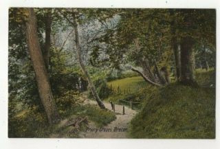 Brecon Priory Groves Breconshire Vintage Postcard Wales 301c