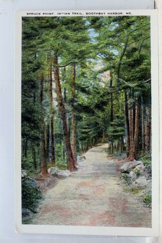 Maine Me Boothbay Harbor Indian Trail Spruce Point Postcard Old Vintage Card Pc