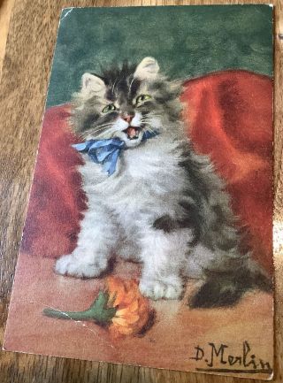 Cat Kitten Postcard D.  Merlin Flower Vintage Postcard Antique Small Crease
