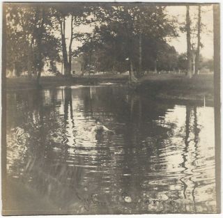 Boy Swims In Farm Pond Northern Jersey 1910s Outdoor Water Snapshot