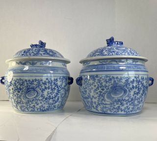 Pair Vintage Chinese Blue & White Porcelain Jar Tie Down Foo Dog Lid 8”h X 8.  5”