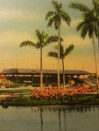 Vintage FLORIDA postcard MIAMI JOCKEY CLUB horse racetrack Hialeah FL casino 2