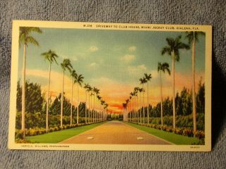 Vintage Postcard Driveway To Club House,  Miami Jockey Club,  Hialeah,  Fla.