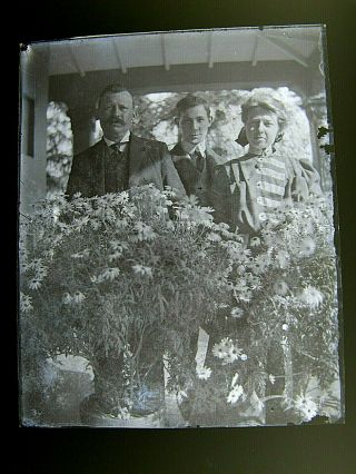 Antique Glass Plate Photograph Negative - Victorian Family & Huge Potted Plant