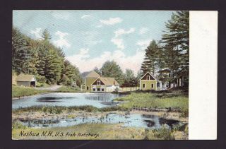 Old Vintage Postcard Of Nashua Nh Us Fish Hatchery