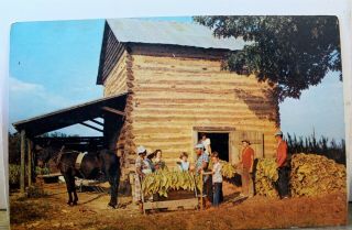 Scenic Curing Barn Harvested Tobacco Postcard Old Vintage Card View Standard Pc