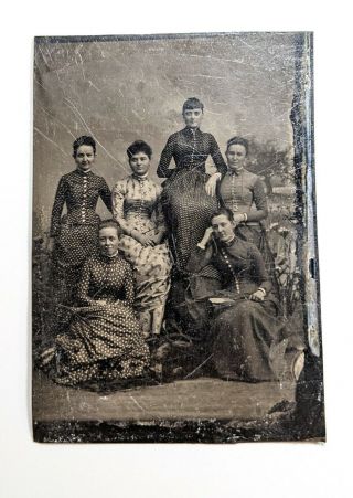 Antique Tintype Ferrotype: Group Of Ladies In Polka Dots And Buttons