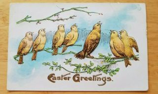 Vintage Postcard Easter Greetings Birds Sitting On Branches Singing Embossed