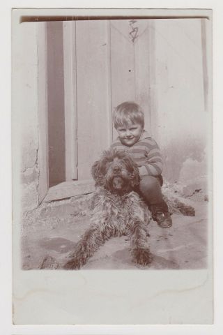 Cute Boy Pose With Pet Dog Portrait Antique 1910s Orig Photo (60735)