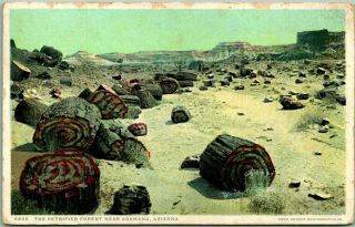 Vintage 1910s Arizona Postcard " The Petrified Forest Near Adamana " Detroit Pub.