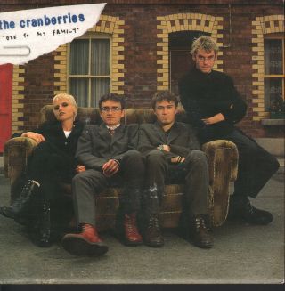 The Cranberries ‎ - Ode To My Family - Island Uk 7 " 1994