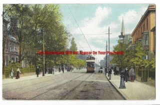 Leicester London Road 1904 Vintage Postcard 11.  1