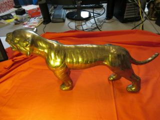 Heavy,  Vintage,  Solid Brass Tiger 23” Long X 11” Tall X 4” Wide And Weighs 10lb