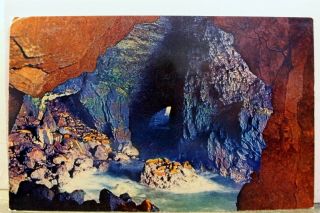 Oregon Or Coast Sea Lion Cave Florence Us 101 Postcard Old Vintage Card View Pc