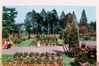 Oregon Or Portland Washington Park Rose Garden Postcard Old Vintage Card View Pc