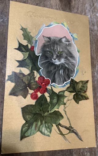 Vintage Cat Kitten Christmas Postcard Halle Branch Gold Foil