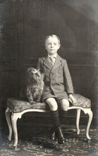 Vintage Studio Photograph: Young Boy With Pet Terrier Dog Norwich