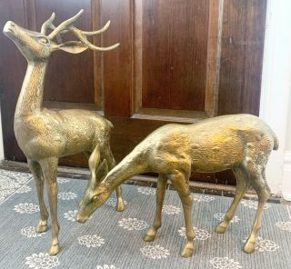 Vintage Large Brass Spotted Buck Doe Deer Reindeer Figurine Statue Set 22” Tall