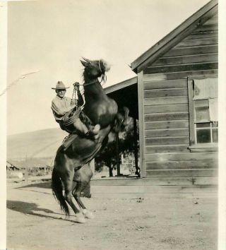 Vintage B/w Small Photo Snapshot Western Cowboy On Rearing Horse Keeps His Seat