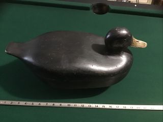 Old Oversized Black Duck By Otto Misch Weale,  Michigan 1950’s