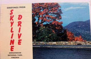 Virginia Va Shenandoah National Park Skyline Drive Greetings Postcard Old View