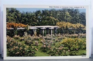 York Ny Lockport Outwater Park Rose Garden Postcard Old Vintage Card View Pc