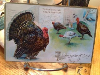 Vintage Thanksgiving Postcard 4 Turkeys Looking At Proclamation