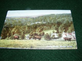 Vintage Postcard Bradley Woods Newton Abbot Devon Houses Gale & Polden