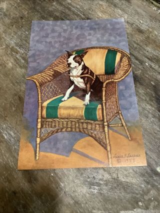 Vintage Postcard By Lewis Larsen Boston Terrier Dog In Chair