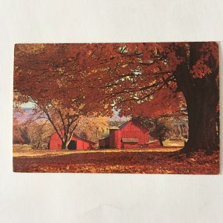 Red Barn Autumn Fall Maple Tree Orange Unposted Vintage Postcard
