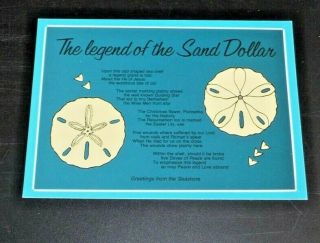 Postcard Vintage 4 X 6 The Legend Of The Sand Dollar Florida