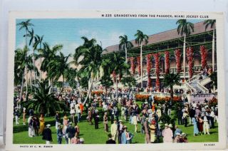 Florida Fl Miami Jockey Club Grandstand Paddock Postcard Old Vintage Card View