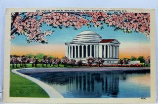 Washington Dc Thomas Jefferson Memorial Cherry Blossoms Postcard Old Vintage Pc