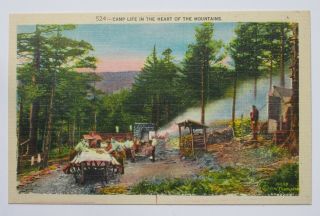 Camp Life In The Heart Of The Mountains Vintage Linen Postcard