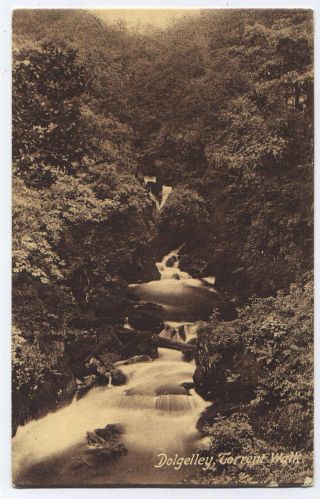 Dolgellau,  Merionethshire,  Wales Vintage Frith Postcard - Torrent Walk - 1919