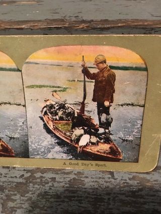 Vintage Colored EARLY HUNTING STEREOVIEW CARDS Dated 1898 DUCK Hunting 2