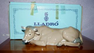 Vintage Rare Lladro Bull Calf Cow Nativity Animal Christmas Large Porcelain