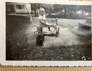 1940’s Ohio Photograph Snapshot Photo Child On Pedal Toy Dachshund Dog