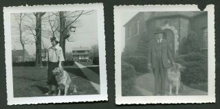 Vintage Photos Man & Woman W/ Pet Collie Dog 993060