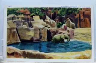 Illinois Il Chicago Brookfield Zoo Elephant Postcard Old Vintage Card View Post