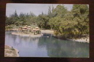 Cuban Vintage Post Card Rincon En El Zoologico,  Habana
