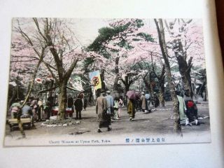 Vintage Japanese Colour Tinted Postcard - Cherry Blossom At Uyeno Park,  Tokyo