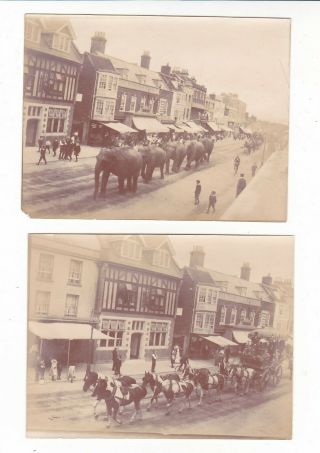 Two Photos,  Circus Parade,  Elephants And Coach,  Unknown Location And Date.