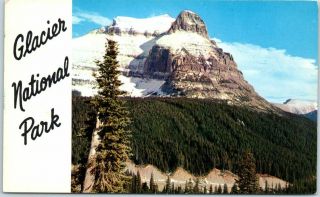 Vintage Glacier National Park Montana Postcard Going - To - The - Sun Mountain 1963