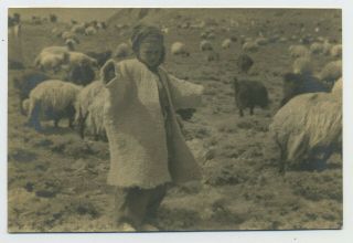 Young Shepherd Boy With Flock Iraq 1930 