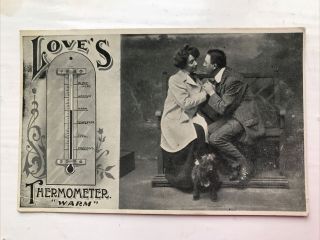 Vintage Postcard,  Love’s Thermometer,  Sweethearts And Little Dog,  1916