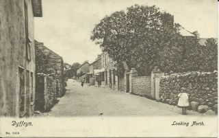 Vintage Postcard Of Dyffryn,  Merionethshire