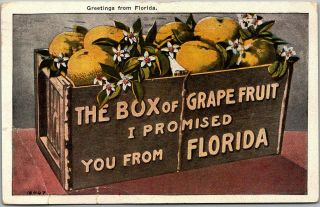 Vintage 1930 Florida Greetings Postcard " The Box Of Grapefruit I Promised You "